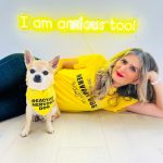 www.znewsservice.com chilliwawa breaks the silence on canine anxiety i am anxious too chilli