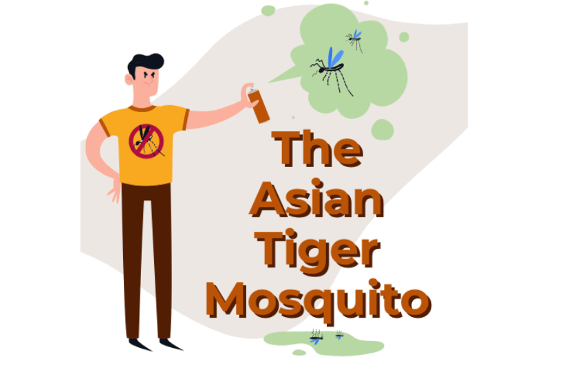 www.znewsservice.com expert warns americans to be vigilant as disease spreading insect spreads rapidly across america asian tiger mosquito.png