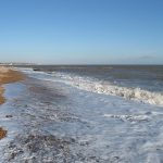 www.znewsservice.com living near a nudist beach reduces house prices by 16000 study shows jam press jmp315491