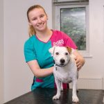 www.znewsservice.com pdsa issues bbq safety warning after dog needs emergency treatment pdsa