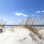 www.znewsservice.com poll reveals the top 100 secret beaches in america dalle 2023 05 17 15.29.50 american beach