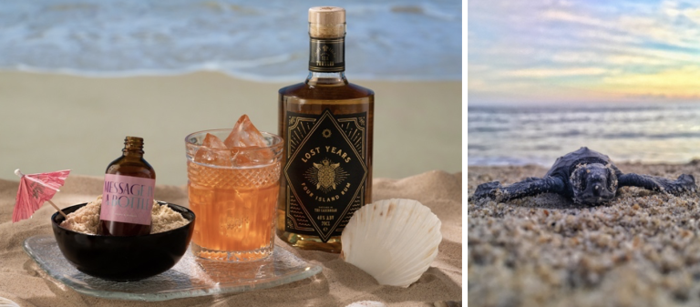 www.znewsservice.com save sea turtles at drake morgan x lost years rum image001