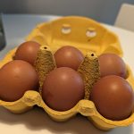 www.znewsservice.com breakthrough discovery allergy free eggs developed by researchers jam press jmp324337
