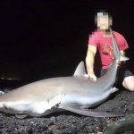 www.znewsservice.com fisherman arrested for illegally catching protected sharks after social media posts jam press jmp322266