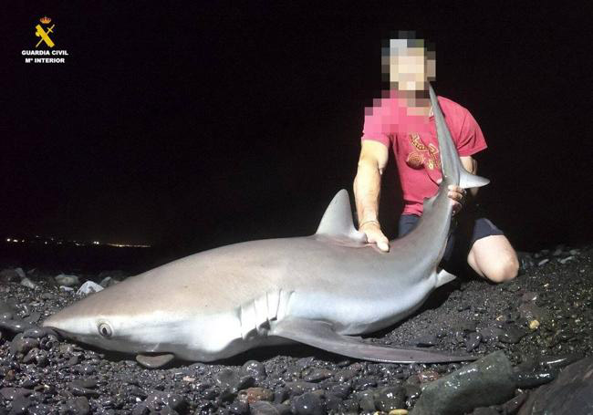 www.znewsservice.com fisherman arrested for illegally catching protected sharks after social media posts jam press jmp322266